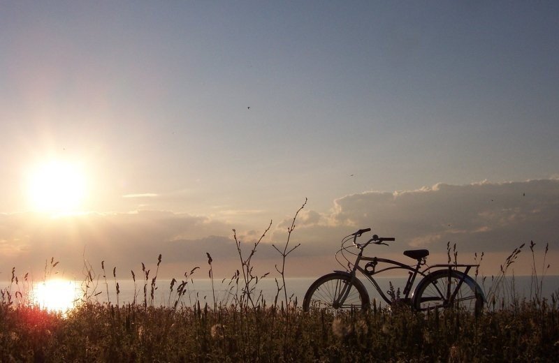 Flevoland entdecken vom Campingplatz mit Hund Holland aus