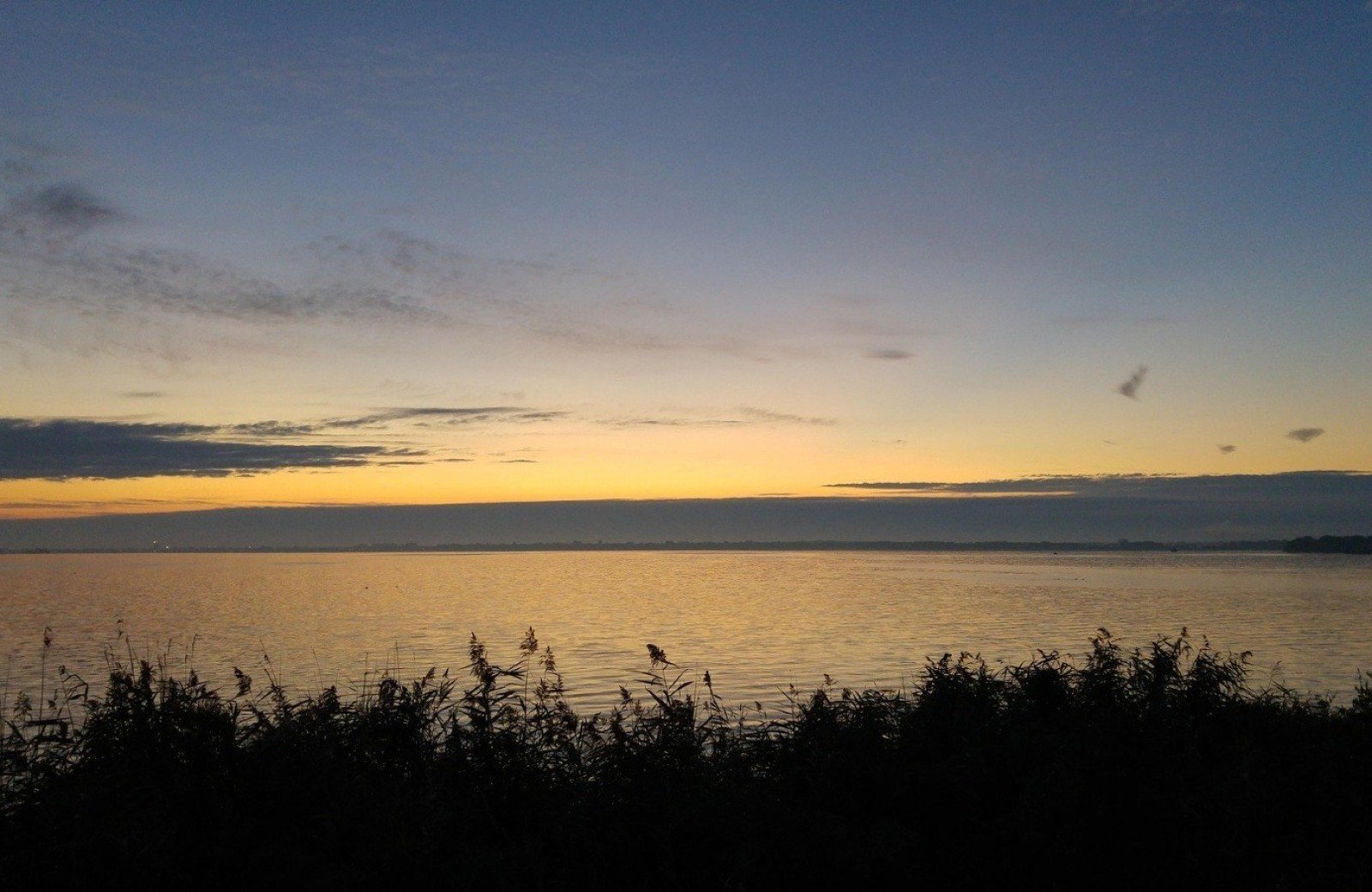 Natur beim Camping Almere